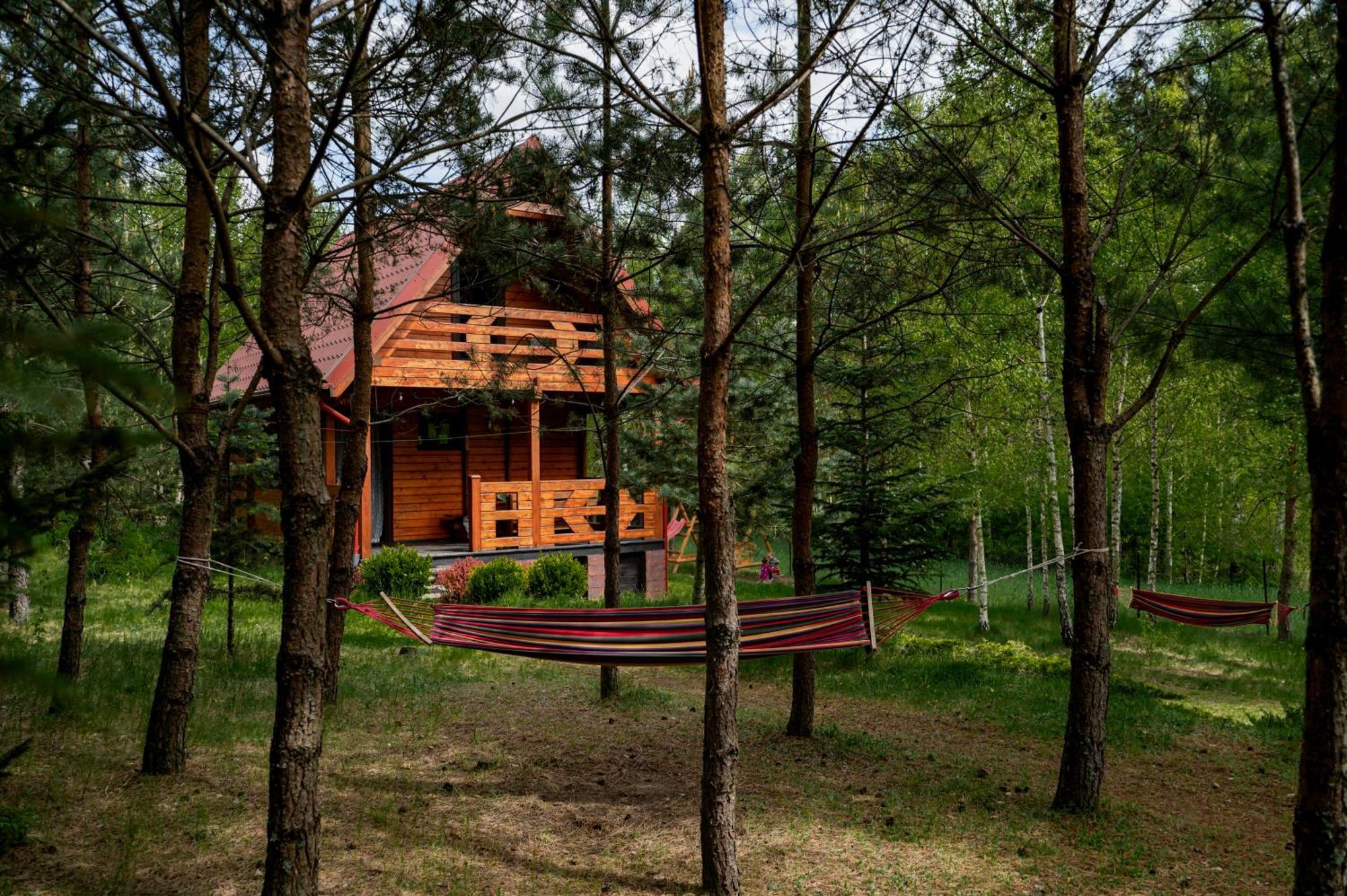 Borowa Chatka Borowy Mlyn Exterior photo